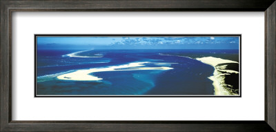 Le Banc D'arguin, Bassin D'arcachon by Philip Plisson Pricing Limited Edition Print image