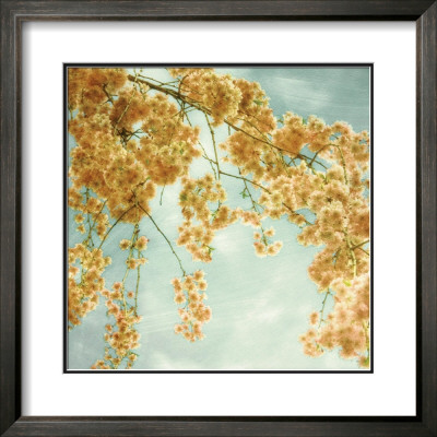 Tuesday Morning by Donna Geissler Pricing Limited Edition Print image