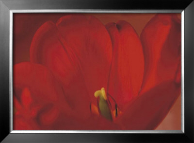 Red Flower by Prades Fabregat Pricing Limited Edition Print image
