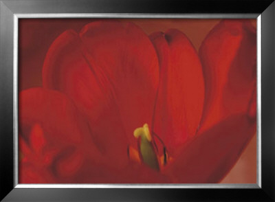 Red Flower by Prades Fabregat Pricing Limited Edition Print image