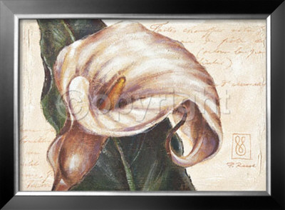 I Remember Calla by Paula Reed Pricing Limited Edition Print image