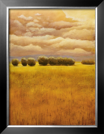 Golden Fields I by Thomas Girard Pricing Limited Edition Print image