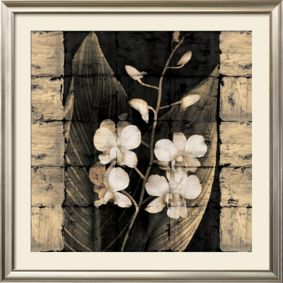 Orchids In Bloom I by John Seba Pricing Limited Edition Print image