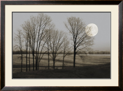 November Moon by Heather Jacks Pricing Limited Edition Print image