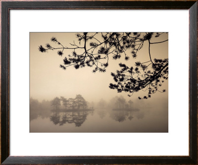 Morning Mist by Jan Tove Pricing Limited Edition Print image