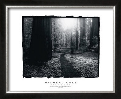 Into The Light by Micheal Cole Pricing Limited Edition Print image