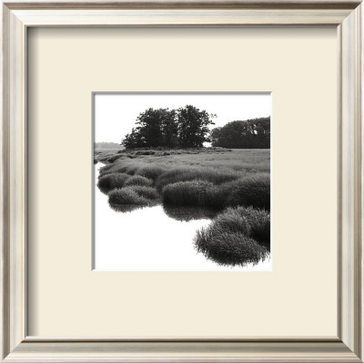 Bright Mist On The Marsh by Dorothy Kerper Monnelly Pricing Limited Edition Print image