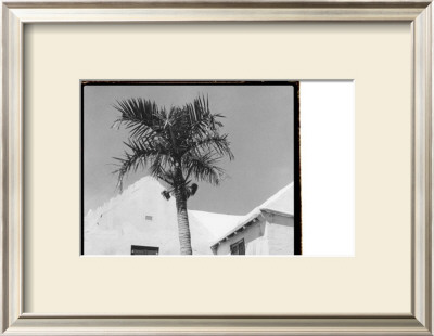 Bermuda Shade by Laura Denardo Pricing Limited Edition Print image