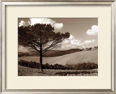 Tuscan Tree by Ilona Wellmann Pricing Limited Edition Print image