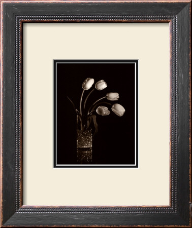 Dramatic Tulips by Mark Polomchak Pricing Limited Edition Print image