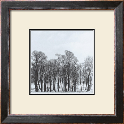 Arbres Divers Iii by Michel Ditlove Pricing Limited Edition Print image