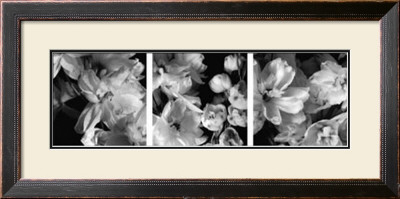 Delphiniums by Darlene Shiels Pricing Limited Edition Print image