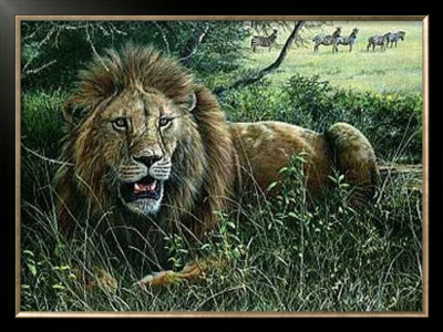 Serengeti Lion by Jeremy Paul Pricing Limited Edition Print image