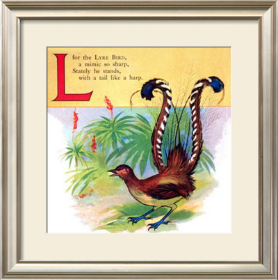 Lyre Bird by William Stecher Pricing Limited Edition Print image