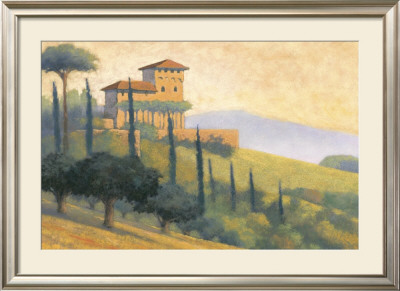 Villa D'or I by Mac Stephenson Pricing Limited Edition Print image