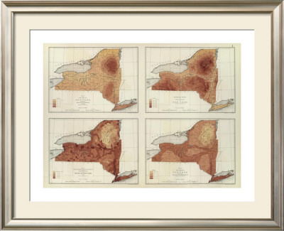 New York: Rainfall, Population, Elevation, Temperature, C.1895 by Henry Gannett Pricing Limited Edition Print image