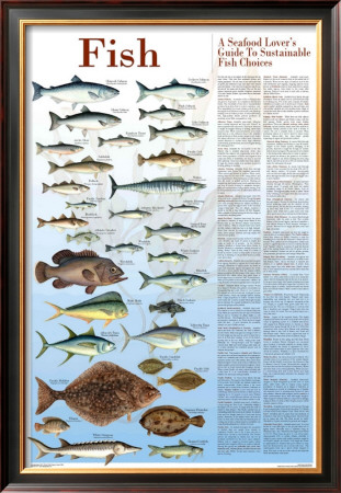 A Seafood Lover's Guide To Sustainable Fish Choices by Brenda Gillespie Pricing Limited Edition Print image