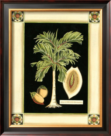 Paradise Palm V by Deborah Bookman Pricing Limited Edition Print image