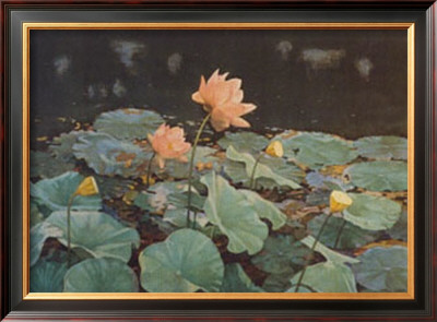 The Lotus by Charles Emile Heil Pricing Limited Edition Print image