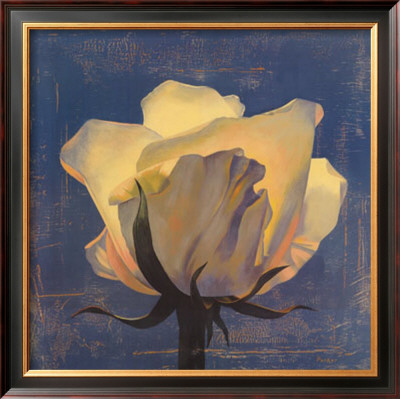 Glowing White Rose by Curtis Parker Pricing Limited Edition Print image