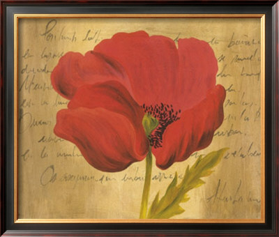 Red Flower by Cristina Valades Pricing Limited Edition Print image