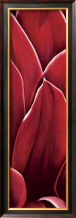 Dahlia Ii by Yvonne Poelstra-Holzhaus Pricing Limited Edition Print image