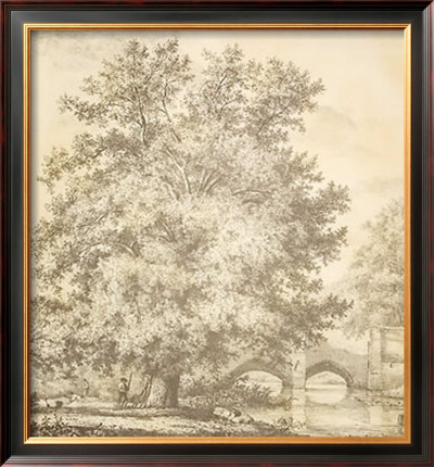 Black Poplar At Bury L'edmunds by Jacob George Strutt Pricing Limited Edition Print image