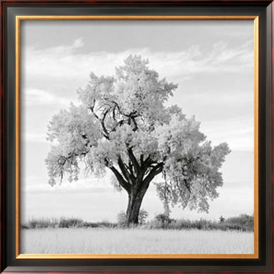 Oak Tree by Jean Miele Pricing Limited Edition Print image