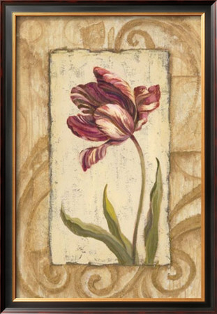 Classic Tulip Ii by Jillian Jeffrey Pricing Limited Edition Print image
