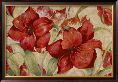 Amaryllis Shimmer by Julia Hawkins Pricing Limited Edition Print image