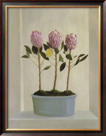 Protea Stand by Hampton Hall Pricing Limited Edition Print image