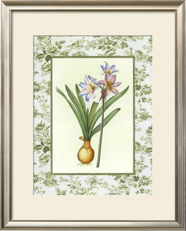Lily And Toile by Sarah Elizabeth Chilton Pricing Limited Edition Print image