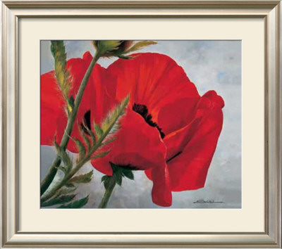 Red Poppy by Heinz Scholnhammer Pricing Limited Edition Print image