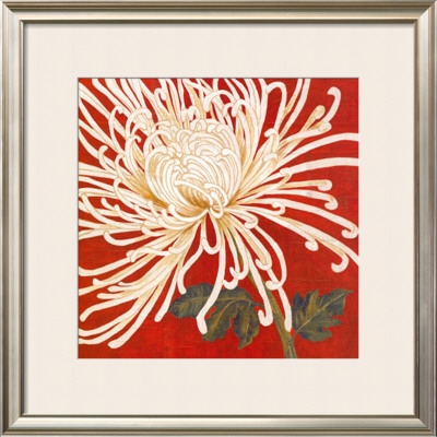 Spider Mum Ii by Judy Shelby Pricing Limited Edition Print image