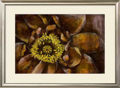 Floral Illusion I by Jennifer Goldberger Pricing Limited Edition Print image