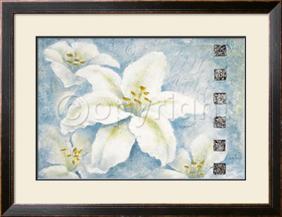 Silver Lily by Claudia Ancilotti Pricing Limited Edition Print image