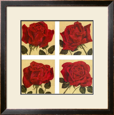 Roses Are Red by Judy Shelby Pricing Limited Edition Print image