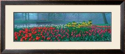 Keukenhof by Alain Le Toquin Pricing Limited Edition Print image