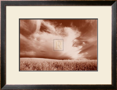 Land And Sky Iv by Bill Philip Pricing Limited Edition Print image