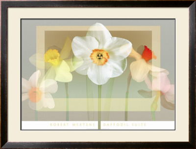 Daffodil Suite by Robert Mertens Pricing Limited Edition Print image