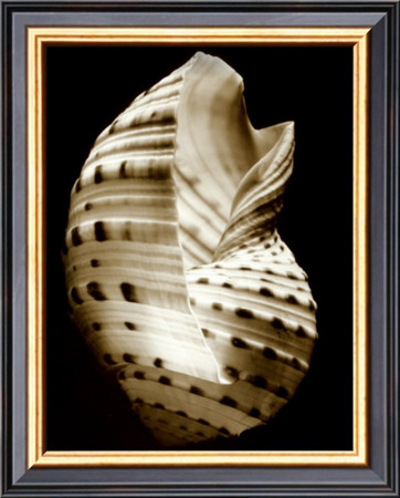 Tonna by Sondra Wampler Pricing Limited Edition Print image