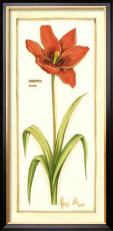 Tulip Gesture I by Jennifer Goldberger Pricing Limited Edition Print image