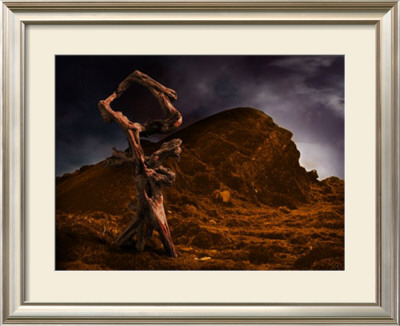 Effigy by Ben Baldwin Pricing Limited Edition Print image