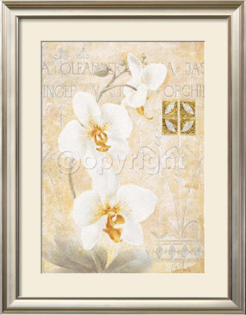 Orchid Ii by Claudia Ancilotti Pricing Limited Edition Print image