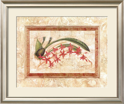 Ceylon Orchid I by Liu Chang Pricing Limited Edition Print image