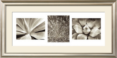 Desert Trio by Micheal Cole Pricing Limited Edition Print image
