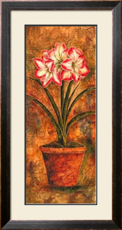 Rainbow Amaryllis by Judy Shelby Pricing Limited Edition Print image