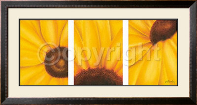 Sun Rays by Caroline Wenig Pricing Limited Edition Print image