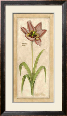 Dusty Tulip Gesture I by Jennifer Goldberger Pricing Limited Edition Print image