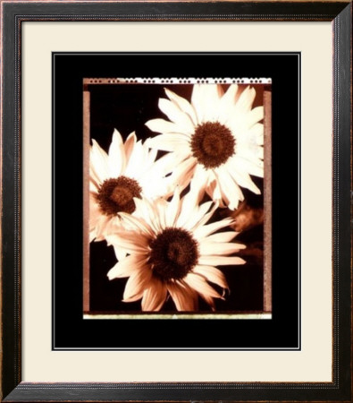 Beautiful Flower Iv by Gerard Van Hal Pricing Limited Edition Print image
